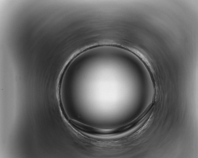 X0000095901342200801181238