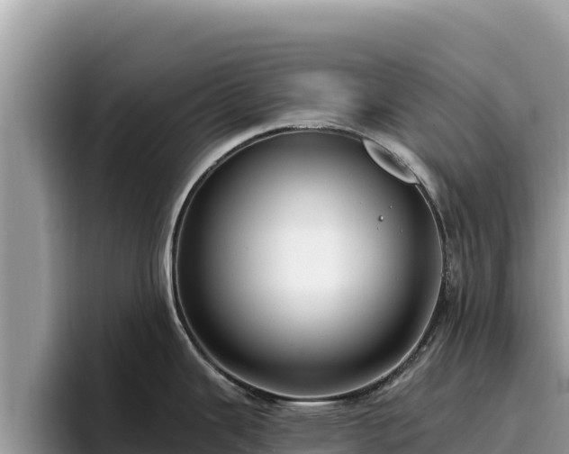 X0000095901343200801181238