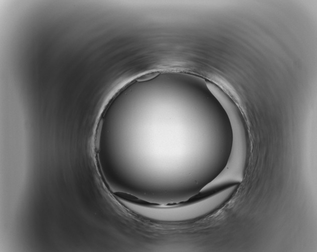 X0000095901344200801181238