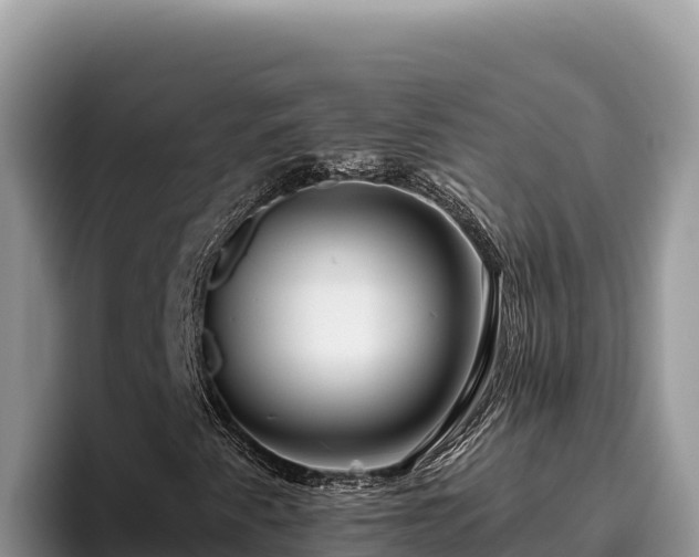 X0000095901345200801181237