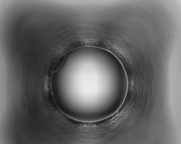 X0000095901346200801181237