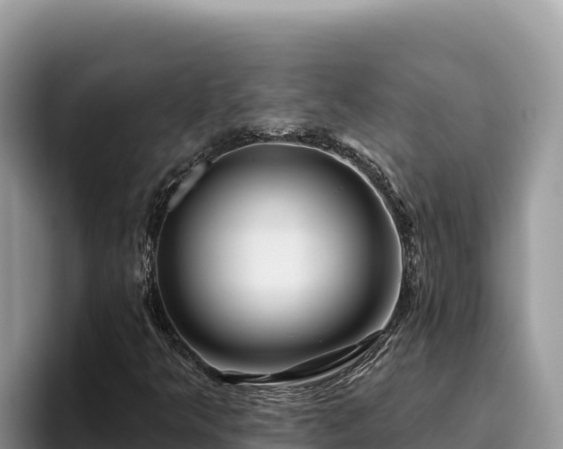 X0000095901349200801181237