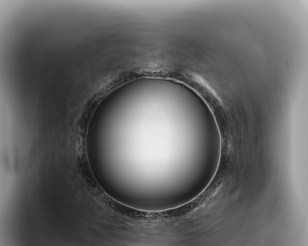 X0000095901350200801181237