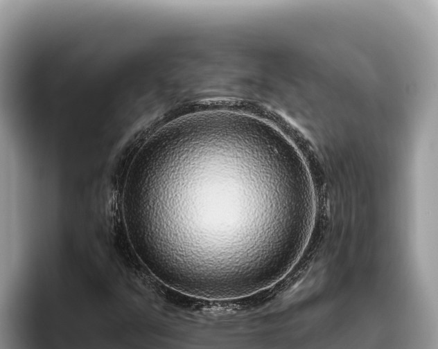 X0000095901351200801181237