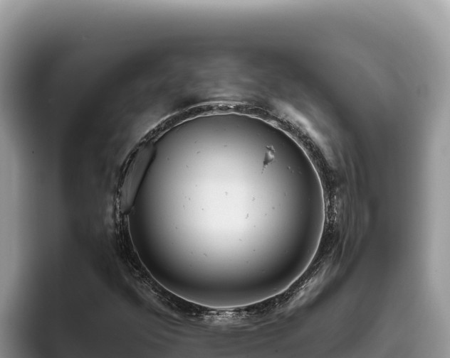 X0000095901352200801181237