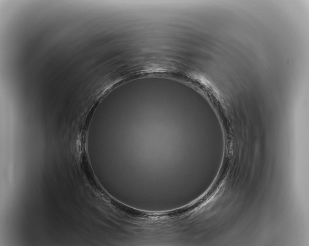 X0000095901353200801181237