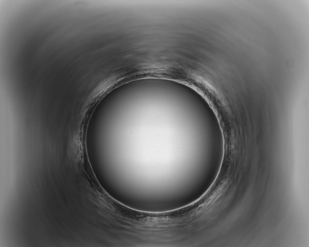 X0000095901354200801181237