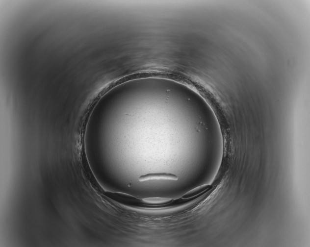 X0000095901355200801181237