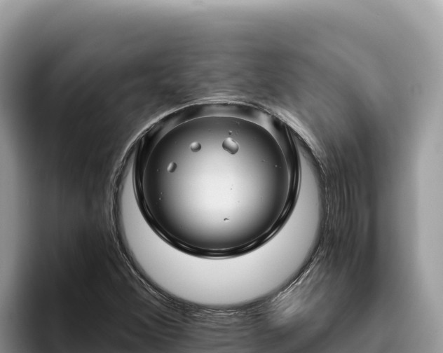 X0000095901356200801181237