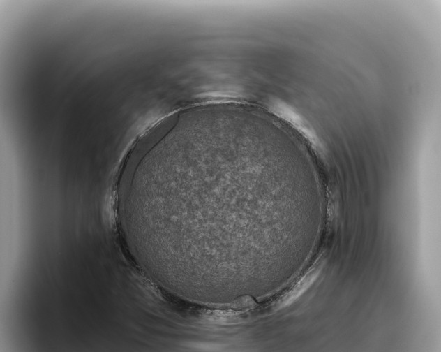 X0000095901357200801181237