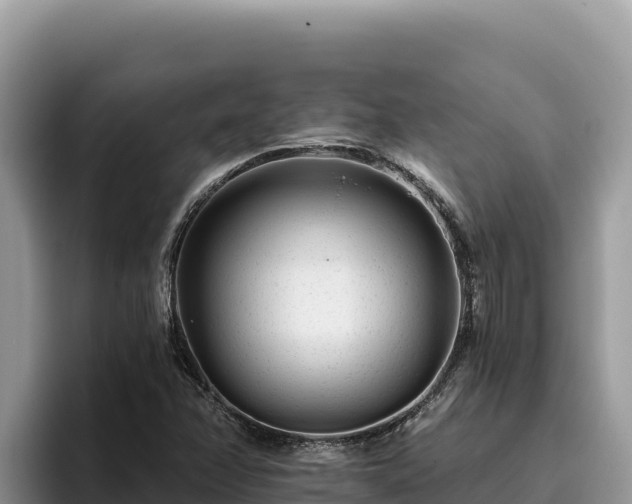 X0000095901358200801181237