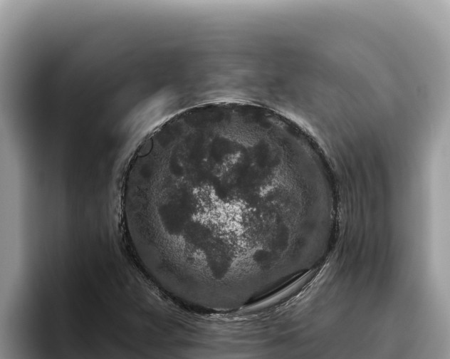 X0000095901359200801181237