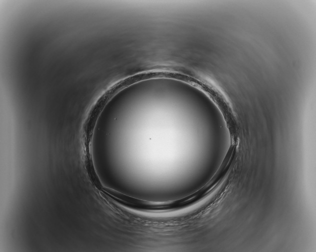 X0000095901360200801181237