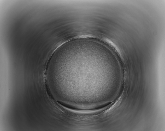 X0000095901361200801181237