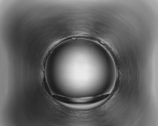 X0000095901363200801181237