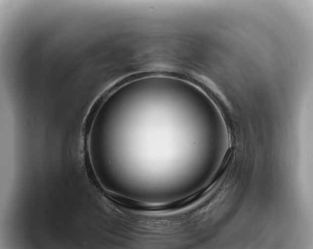 X0000095901364200801181237