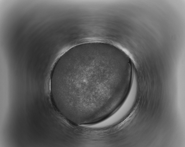 X0000095901365200801181237