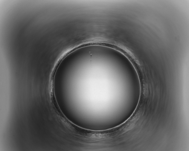 X0000095901366200801181237