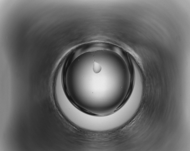 X0000095901368200801181237