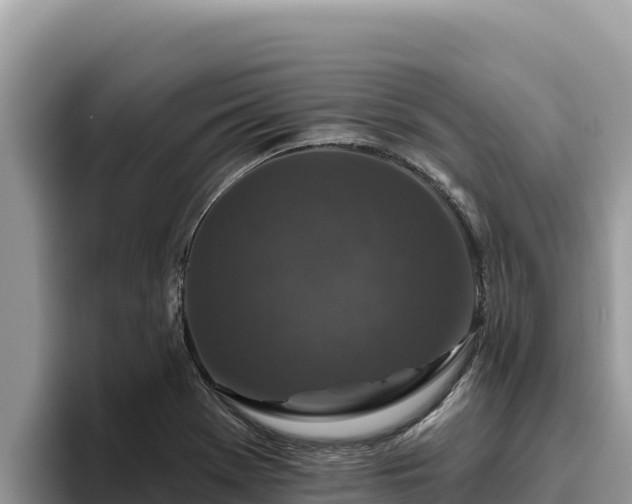 X0000095901369200801181237