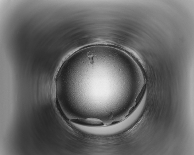 X0000095901371200801181237