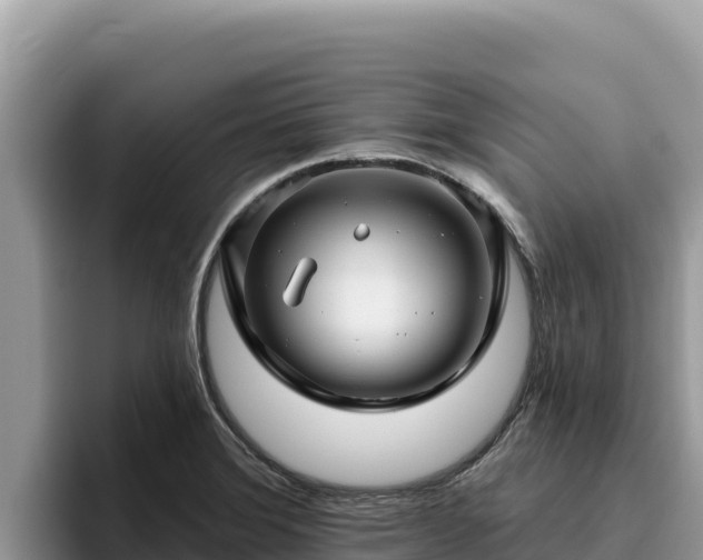 X0000095901372200801181237