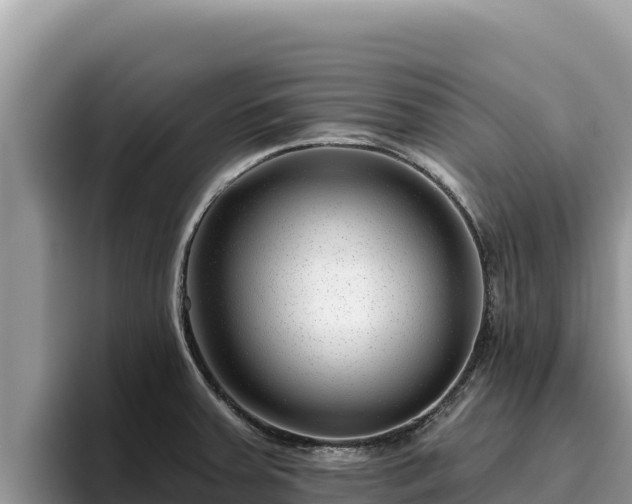 X0000095901379200801181237