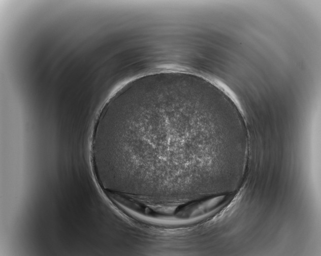 X0000095901381200801181237