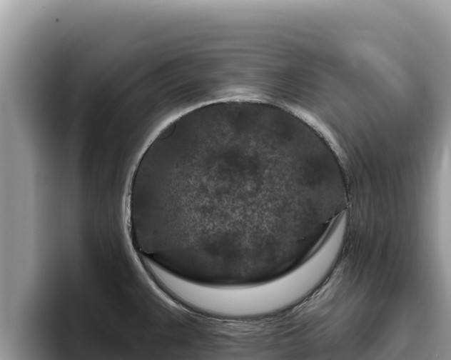 X0000095901383200801181237