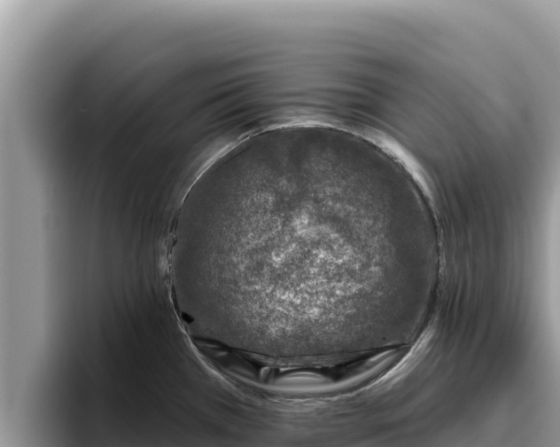 X0000095901385200801181237