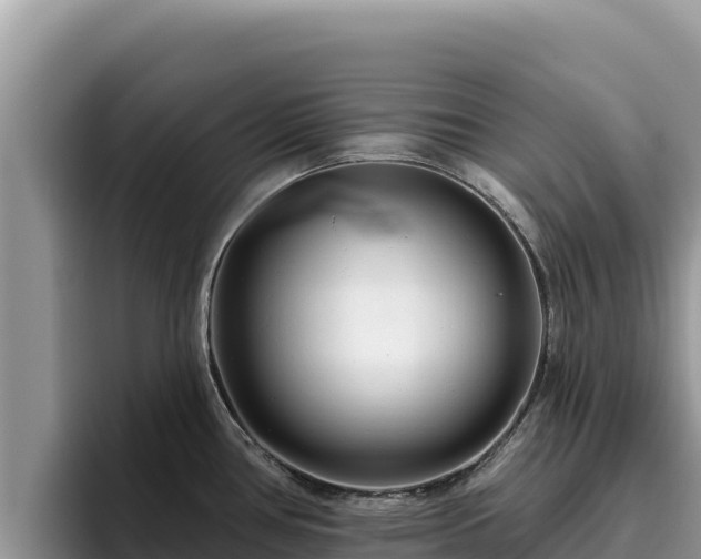 X0000095901386200801181237