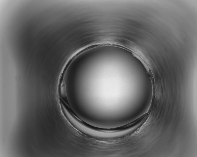 X0000095901388200801181237