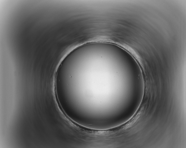 X0000095901390200801181237