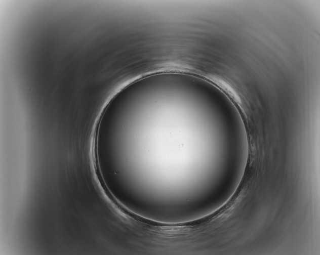 X0000095901391200801181237