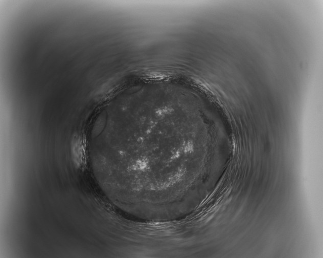 X0000095901394200801181236