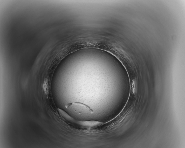 X0000095901395200801181236