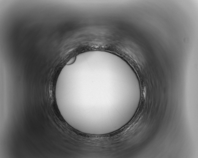 X0000095901396200801181236