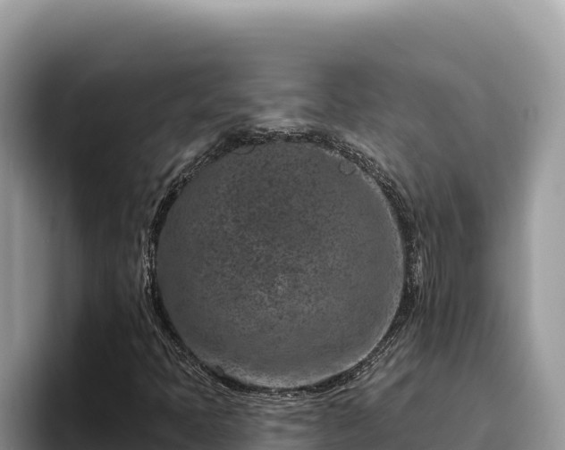 X0000095901397200801181236