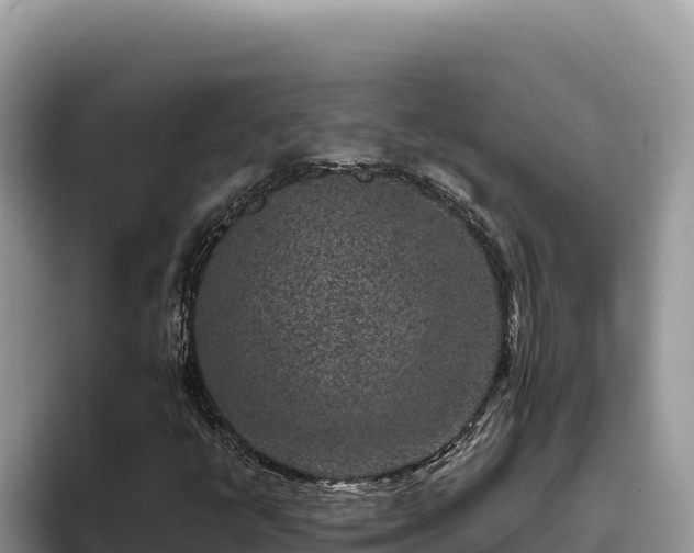 X0000095901398200801181236