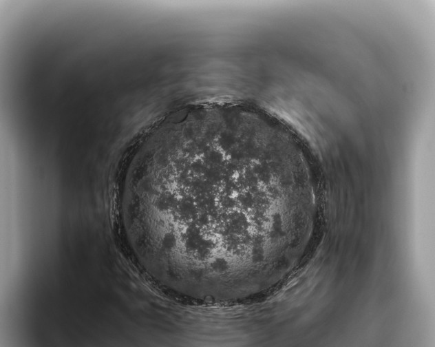 X0000095901399200801181236