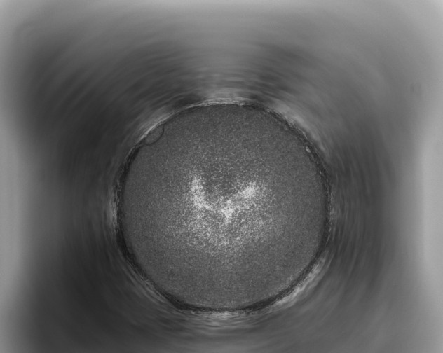 X0000095901401200801181236