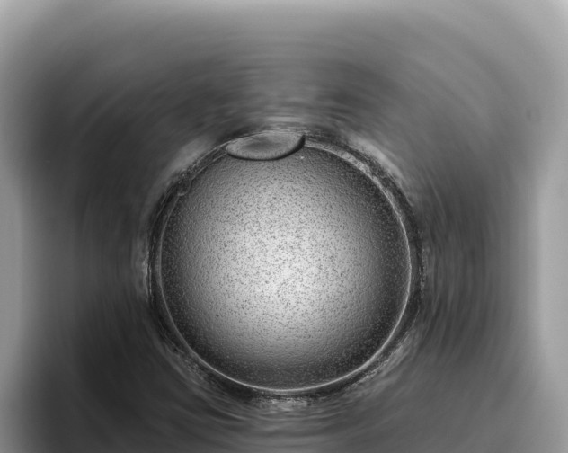 X0000095901403200801181236