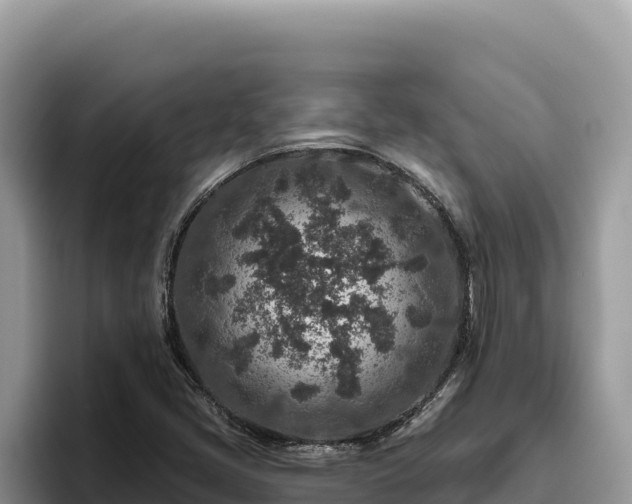 X0000095901405200801181236