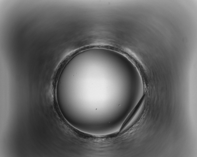 X0000095901408200801181236