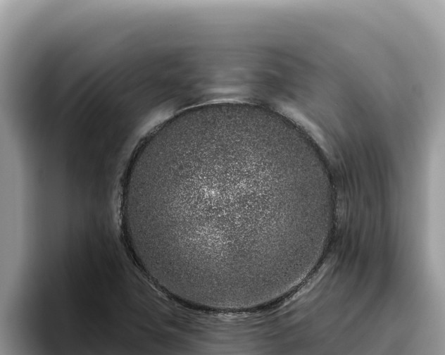 X0000095901411200801181236