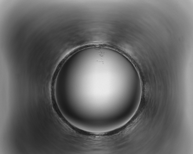 X0000095901412200801181236