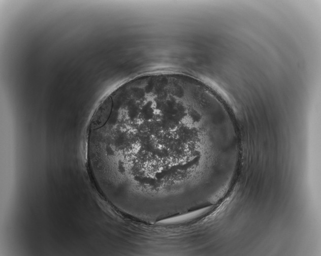 X0000095901413200801181237