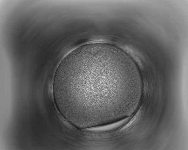 X0000095901417200801181237