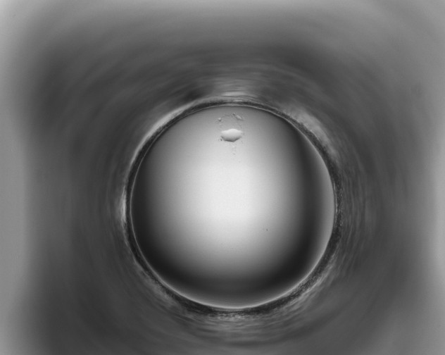 X0000095901420200801181237