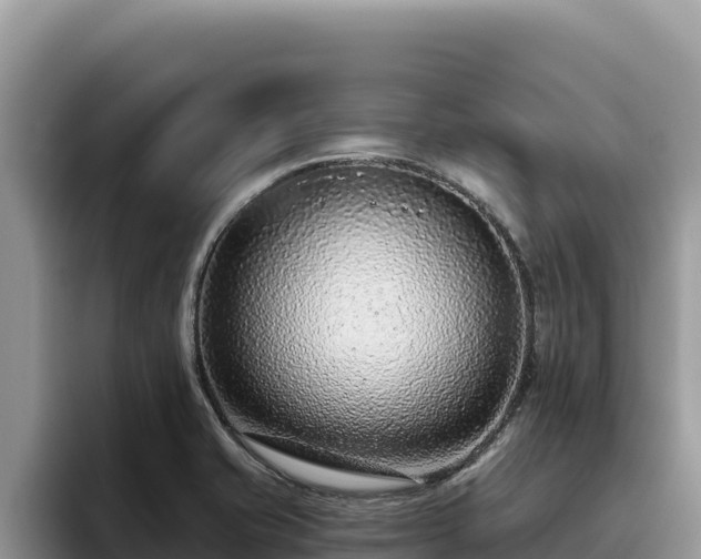 X0000095901421200801181237